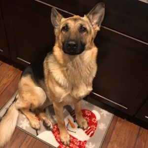 Meet your Posher, Nick